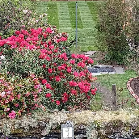 Stunning With Free Access