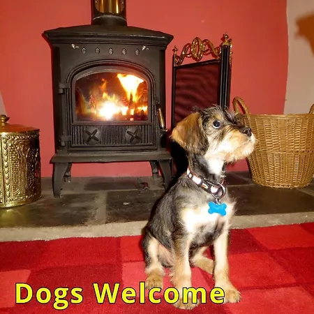 Stunning With Free Access Semesterbostad